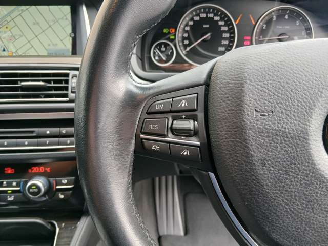 ＢＭＷ ５シリーズ ５２３ｉ　ラグジュアリー H27年 (近畿) 99