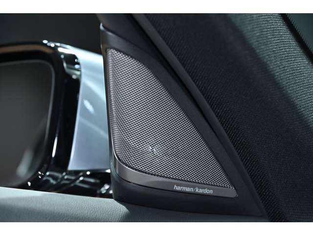 ＢＭＷ ５シリーズ ５４０Ｉ Ｘドライブ Ｍスポーツ ４ＷＤ H29年 () 99
