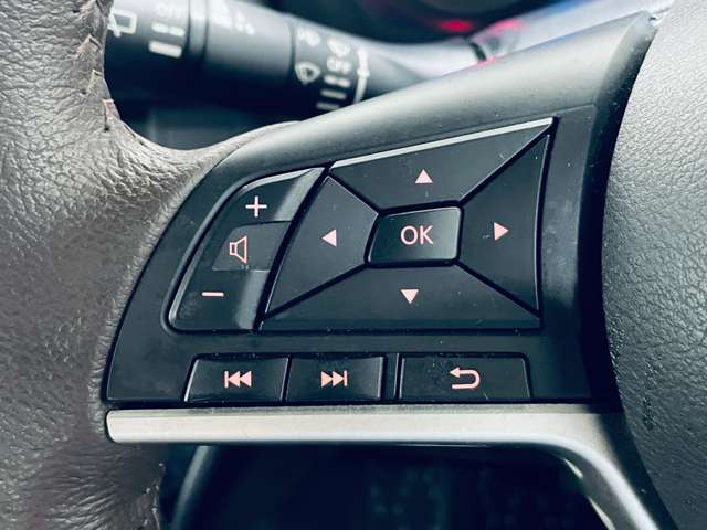日産 ルークス ６６０ ハイウェイスターＧターボ プロパイロット エディション R4年 (近畿) 99