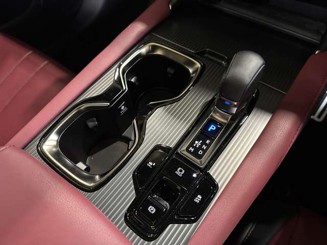 レクサス ＲＸ５００ｈ ５００Ｈ Ｆスポーツ パフォーマンス ４ＷＤ R6年 (関東) 99