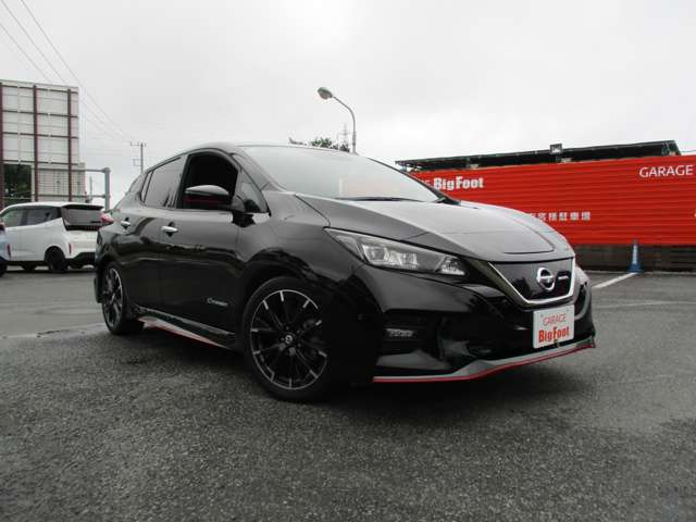 日産 リーフ ＮＩＳＭＯ R1年 (関東) 99
