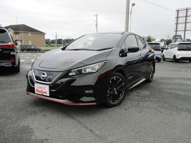 日産 リーフ ＮＩＳＭＯ R1年 (関東) 99