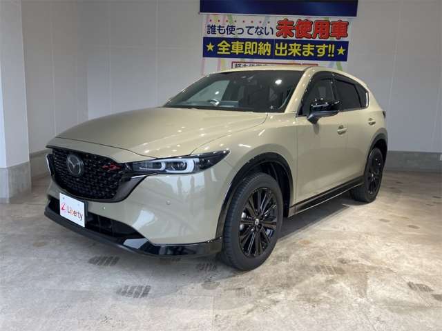 マツダ ＣＸ−５ ２．５ ２５Ｓ スポーツ アピアランス R4年 (近畿) 99