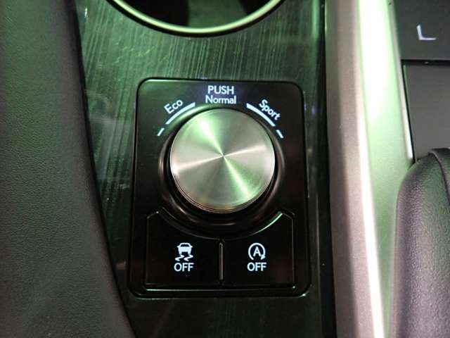 レクサス ＲＸ３００ ３００ R3年 () 99