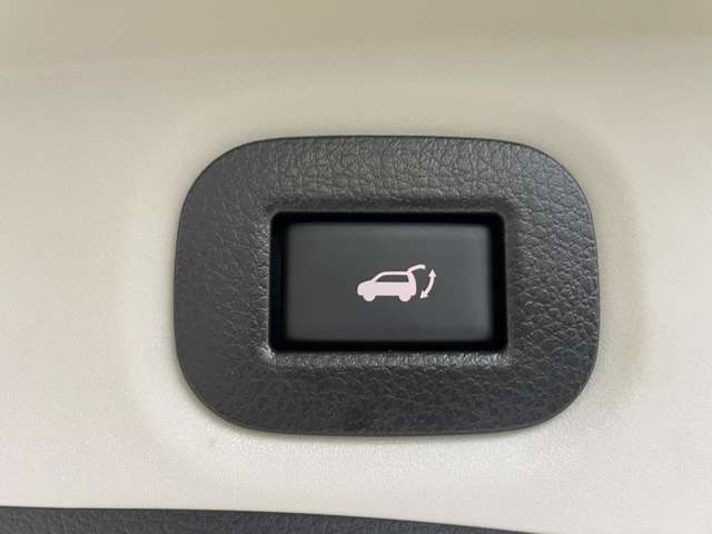 日産 エクストレイル ２．０ ＡＵＴＥＣＨ Ｉパッケージ ２列車 R1年 () 99