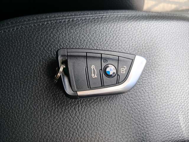 ＢＭＷ Ｘ１ Ｘドライブ ２０Ｉ Ｘライン ４ＷＤ H30年 (近畿) 99
