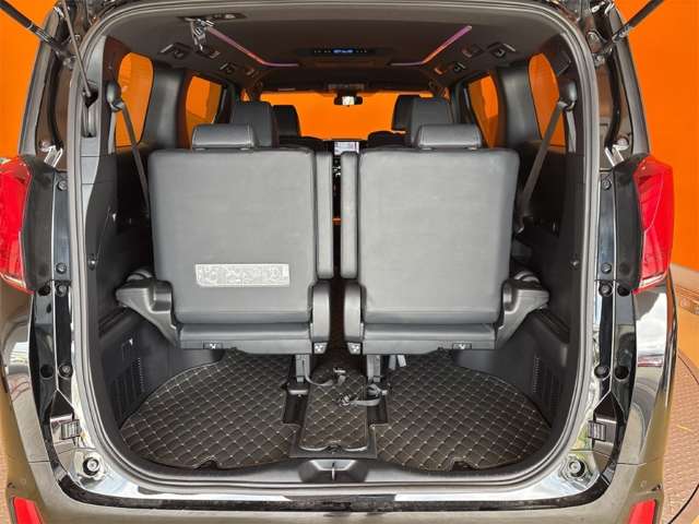 トヨタ アルファード ２．５ Ｓ タイプゴールドＩＩ R3年 () 99