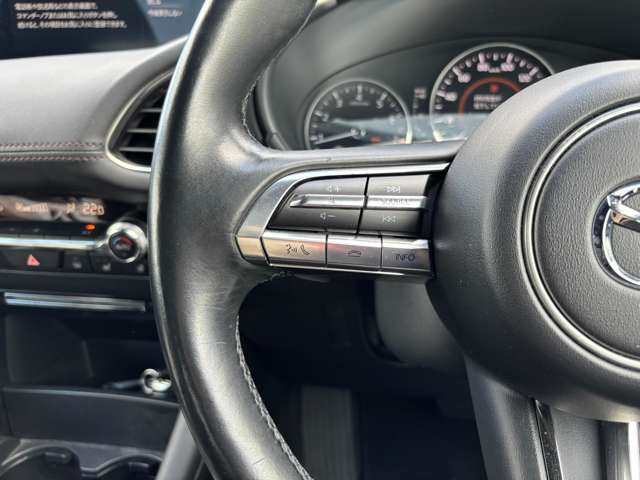 マツダ ＭＡＺＤＡ３　ファストバック ２．０ ２０Ｓ Ｌパッケージ R2年 () 99