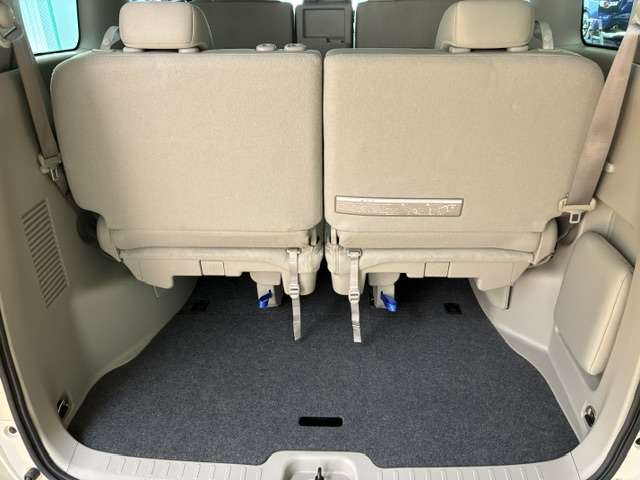 日産 セレナ ２．０ Ｇ H30年 (関東) 99