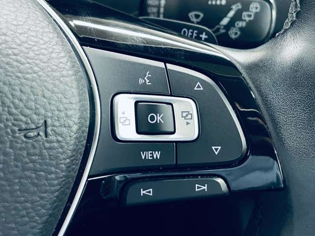 フォルクスワーゲン ティグアン ＴＤＩ ４モーション ハイライン ディーゼルターボ ４ＷＤ R1年 () 99