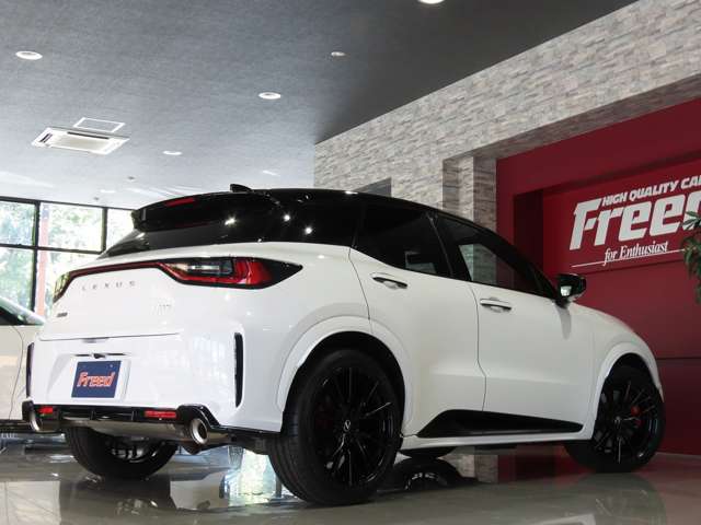 レクサス ＬＢＸ モリゾウ ＲＲ ４ＷＤ R7年 (東海) 99
