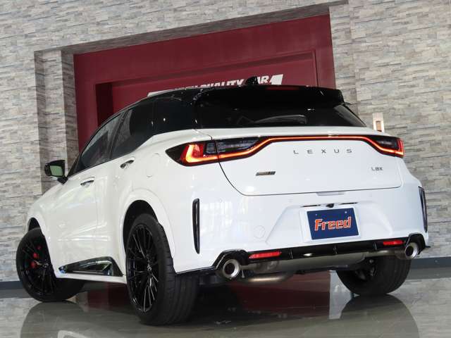 レクサス ＬＢＸ モリゾウ ＲＲ ４ＷＤ R7年 (東海) 99