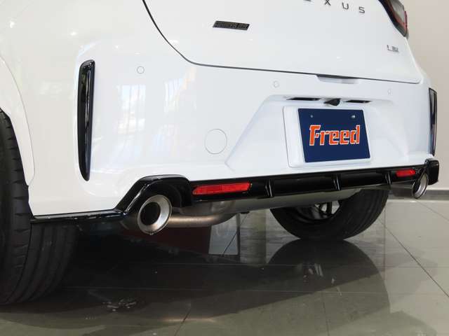 レクサス ＬＢＸ モリゾウ ＲＲ ４ＷＤ R7年 (東海) 99
