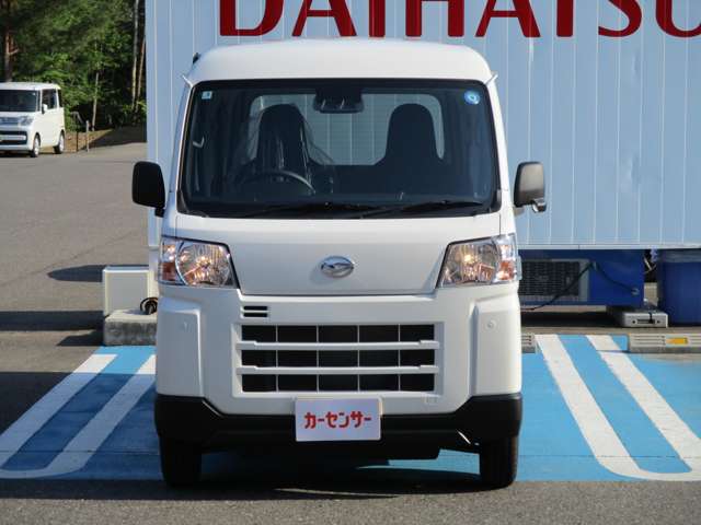 ダイハツ ハイゼットカーゴ ６６０ デラックス ４ＷＤ R8年 (東北) 99