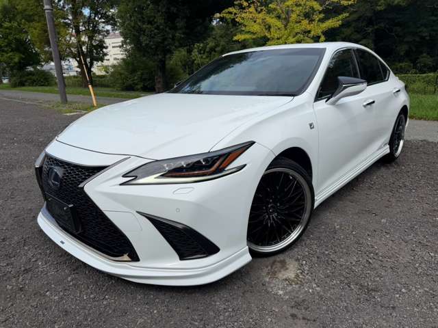 レクサス ＥＳ３００ｈ Ｆスポーツ R2年 (近畿) 99