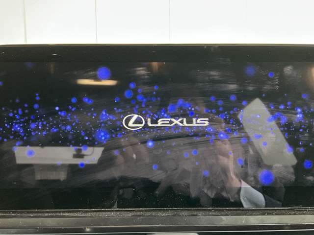 レクサス ＵＸ２５０ｈ グレイスフル　エクスプローラー R5年 (近畿) 99