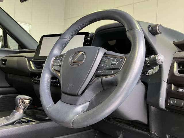レクサス ＵＸ２５０ｈ グレイスフル　エクスプローラー R5年 (近畿) 99