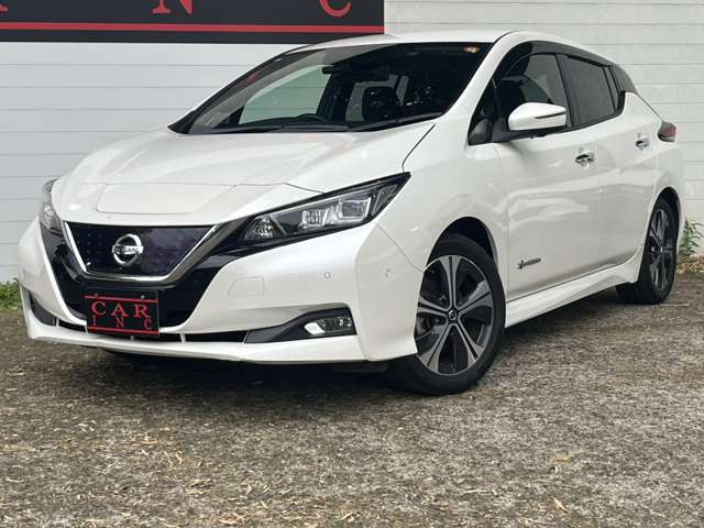 日産 リーフ Ｇ R1年 (関東) 99