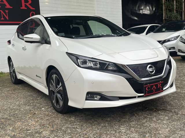 日産 リーフ Ｇ R1年 (関東) 99
