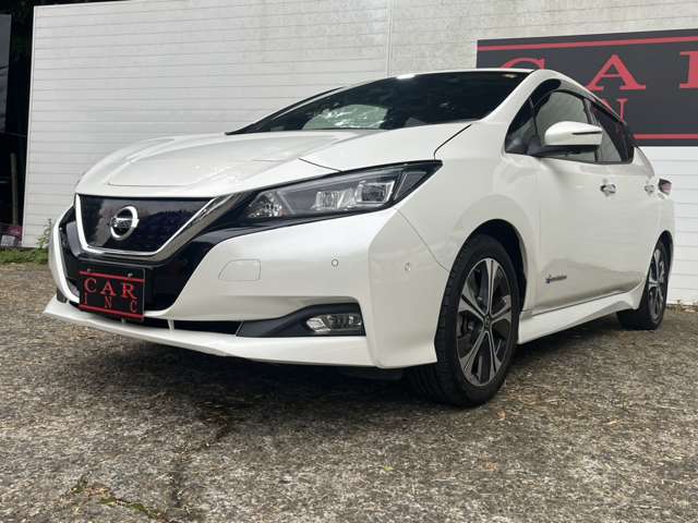 日産 リーフ Ｇ R1年 (関東) 99