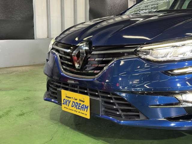 ルノー メガーヌスポーツツアラー インテンス R3年 (関東) 99
