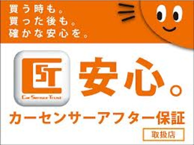 ＭＣＣ フォーツーカブリオ ターボ リミテッド ツイナミック H28年 (関東) 99