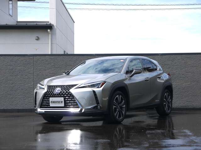 レクサス ＵＸ２５０ｈ バージョンＣ R1年 (九州・沖縄) 99