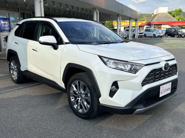 トヨタ ＲＡＶ４ ２．０ Ｇ Ｚパッケージ ４ＷＤ R3年 () 99