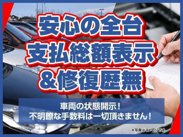三菱フソウ キャンター ３．０ ロング 全低床 ディーゼルターボ R3年 (関東) 99