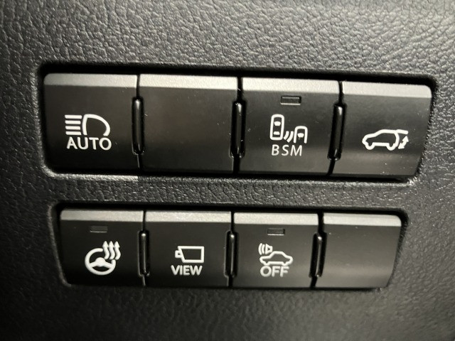 レクサス ＮＸ３００ｈ ３００Ｈ バージョンＬ ４ＷＤ H30年 (近畿) 99