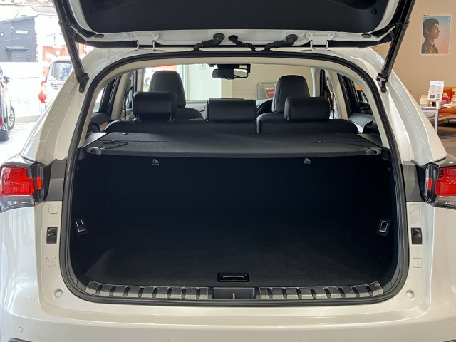 レクサス ＮＸ３００ｈ ３００Ｈ バージョンＬ ４ＷＤ H30年 (近畿) 99