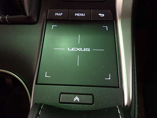 レクサス ＮＸ３００ ３００ R3年 (近畿) 99