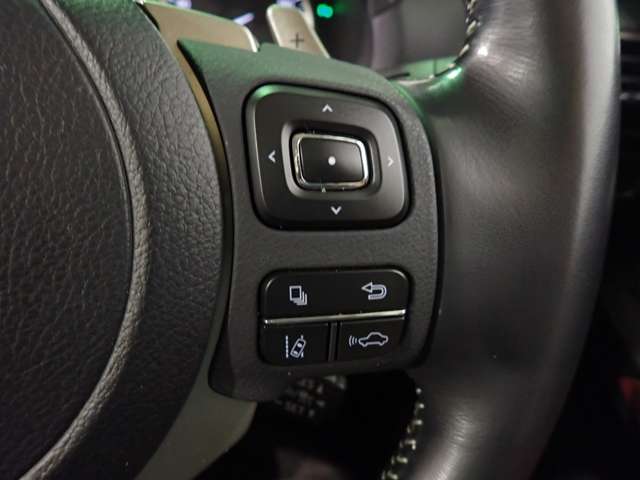 レクサス ＮＸ３００ ３００ R3年 (近畿) 99