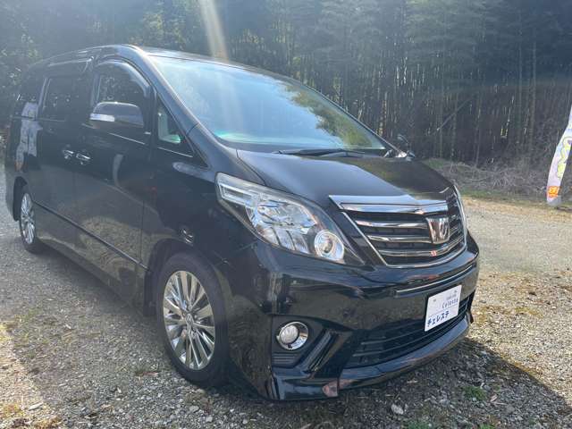 トヨタ アルファード ２．４ ２４０Ｓ タイプゴールド H25年 (九州・沖縄) 99