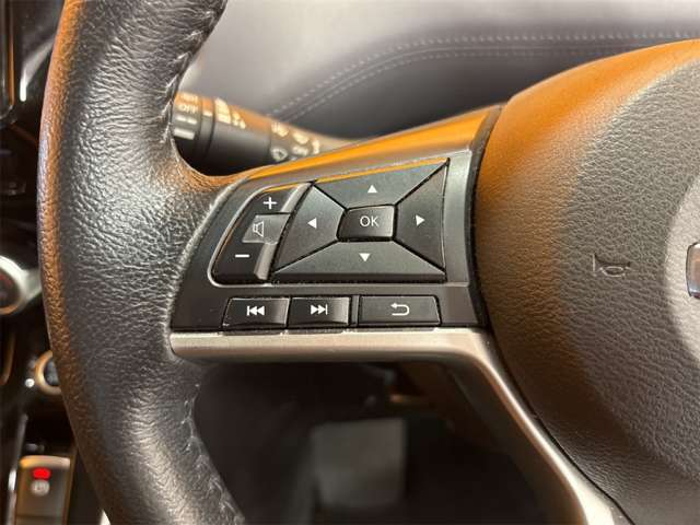 日産 セレナ ２．０ ハイウェイスター Ｖ R1年 () 99