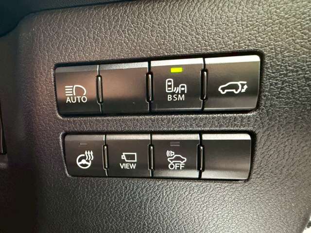 レクサス ＮＸ３００ｈ Ｆスポーツ H29年 (近畿) 99