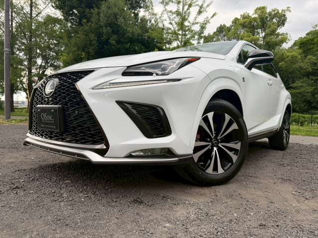 レクサス ＮＸ３００ｈ Ｆスポーツ H29年 (近畿) 99