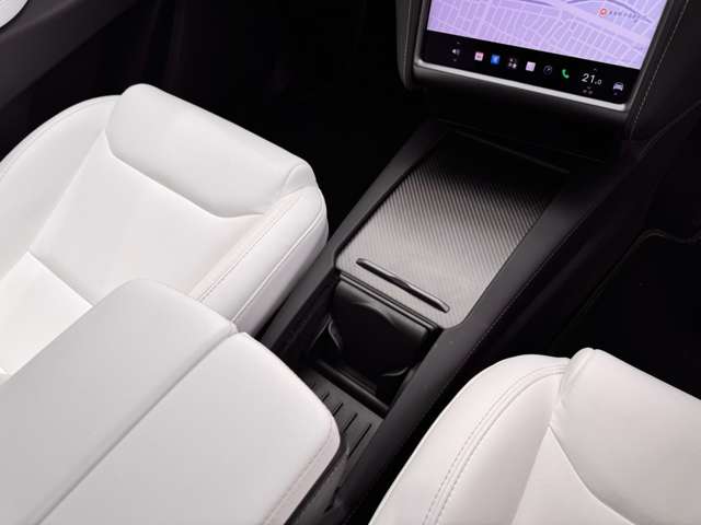 テスラ モデルＸ ＲＡＶＥＮ最終 パフォーマンス ＡＷＤ R2年 (東海) 99
