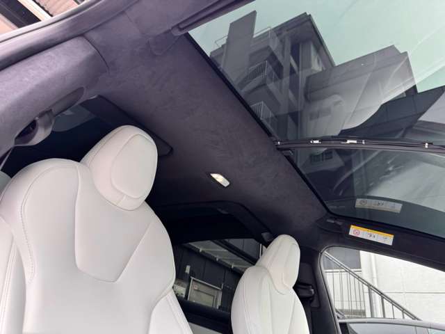 テスラ モデルＸ ＲＡＶＥＮ最終 パフォーマンス ＡＷＤ R2年 (東海) 99