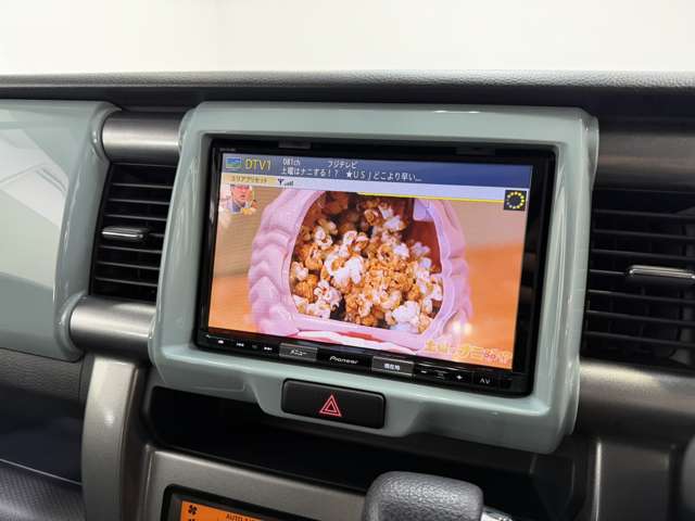 スズキ ハスラー ６６０ タフワイルド H30年 (関東) 99