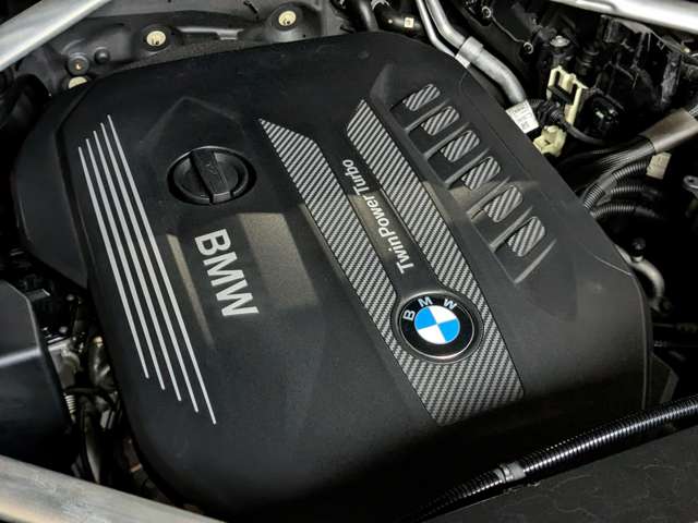 ＢＭＷ Ｘ６ Ｘドライブ３５Ｄ Ｍスポーツ ディーゼルターボ ４ＷＤ R2年 (関東) 99
