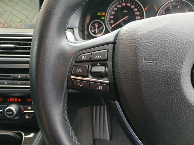 ＢＭＷ ５シリーズ ５２３ｉ　ラグジュアリー H28年 () 99