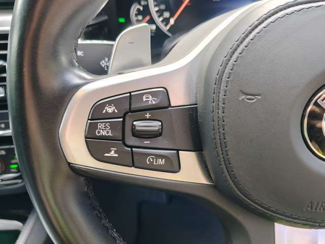 ＢＭＷ ５シリーズ ５２３ｉ　Ｍスポーツ H29年 (近畿) 99