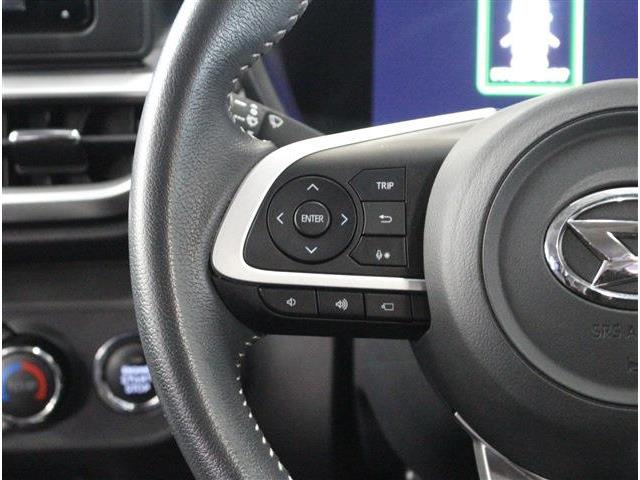 ダイハツ ロッキー １．０ プレミアム ４ＷＤ R1年 (北海道) 99