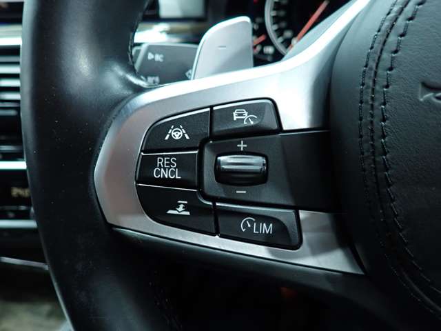 ＢＭＷ ５シリーズ ５２３ｉ　Ｍスポーツ H30年 (九州・沖縄) 99