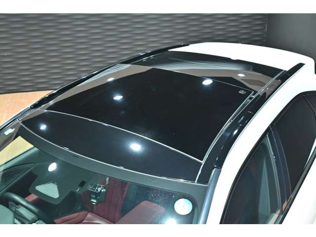 レクサス ＲＸ５００ｈ ５００Ｈ Ｆスポーツ パフォーマンス ４ＷＤ R5年 () 99