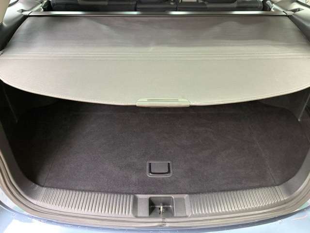 スバル レヴォーグ １．６ ＧＴ－Ｓ アイサイト ４ＷＤ H30年 () 99