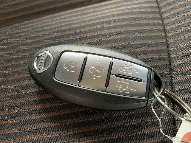 日産 エルグランド ２．５ ２５０ハイウェイスターＳ H29年 () 99