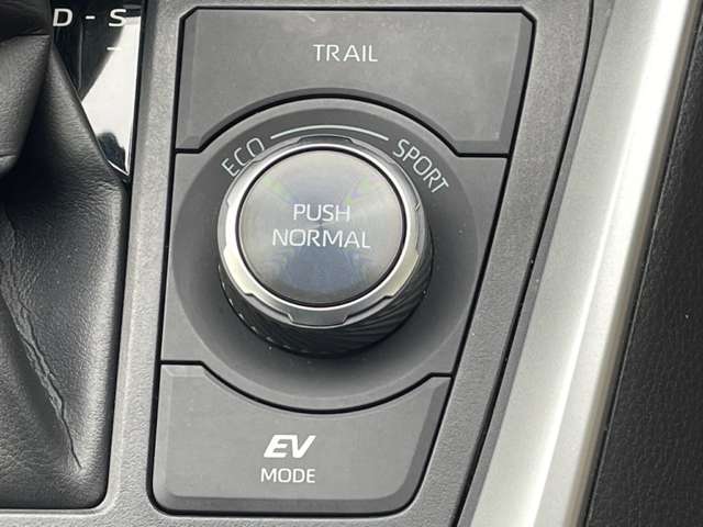 トヨタ ＲＡＶ４ ２．５ ハイブリッド Ｇ Ｅ－ＦＯＵＲ ４ＷＤ R3年 () 99