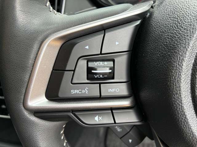 スバル フォレスター ＸＴエディション R5年 (近畿) 99